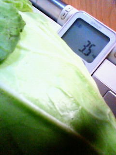 ( ̄□ ̄;)!! デカっ。