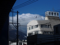 2011年01月31日