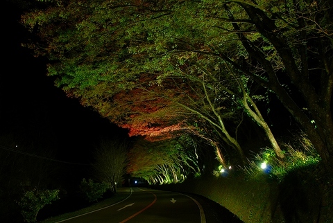 天気いいですね〜