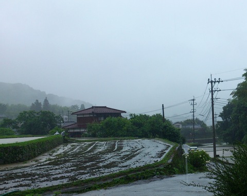 うれしい雨(*^_^*)