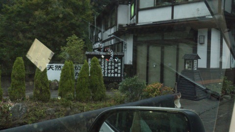 中津の力はすごいよ〜