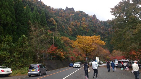 綺麗でしたよ・・・紅葉