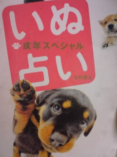 犬占い