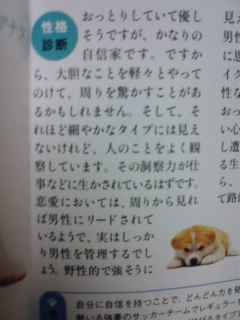 犬占い