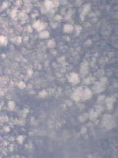 空