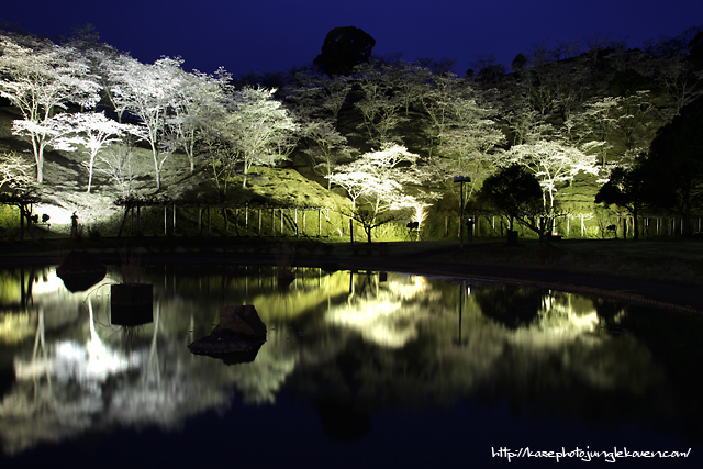 夜桜（番外編）