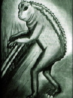 カエル男