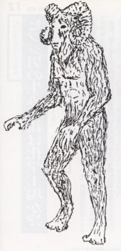 ヒツジ男