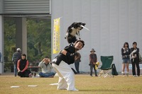 ２０１１年の誓い！