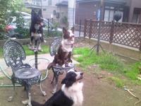 リーダーシップ