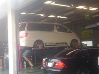 車の骨盤調整しました！