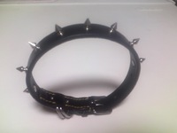 ブル公の首輪