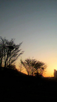 2011年01月08日