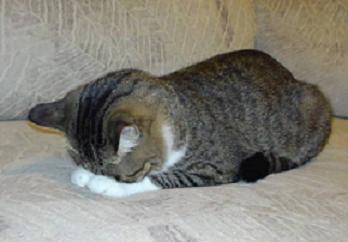 ショック…(´Д｀;;)