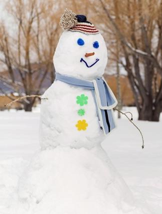 ＊今日は雪＊