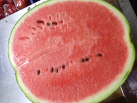 とっとり産！