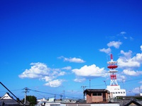 好きになれることを探す