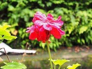 勉強は誰のためにする？