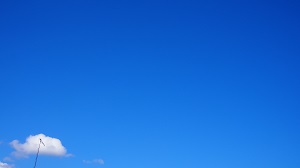 あなたの単語帳は…、 あなたの単語帳は…、