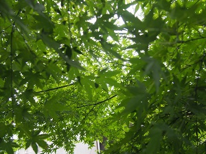 受かるか落ちるかを決めるのは… 受かるか落ちるかを決めるのは…