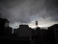 無駄かな…、と思っても…､必ずやる　―台風養生―