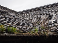 ストーリーテラー　―聞き手と話し手の共同作業―