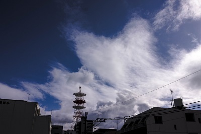 歴史を学ぶことによって一体何を学ぶのか 歴史を学ぶことによって一体何を学ぶのか