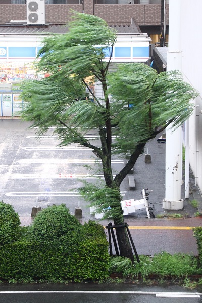 いつまでも待っていてはいけない いつまでも待っていてはいけない
