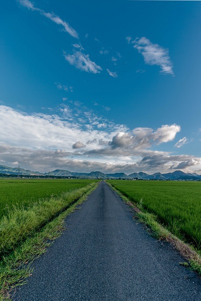 勉強の第1段階としてまず… 勉強の第1段階としてまず…