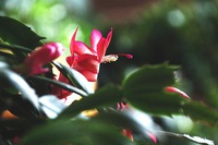 行動を変えよう。