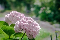 絶対はありえない