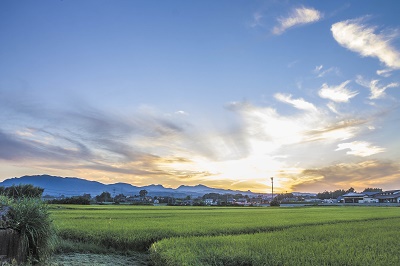 合格につながる方法 合格につながる方法