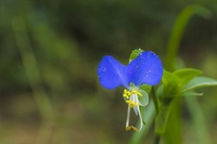 やる気になる 目標の立て方