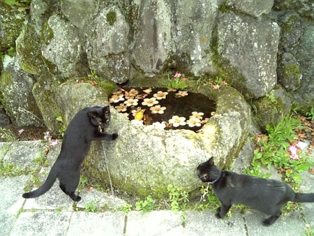 水の口湧水
