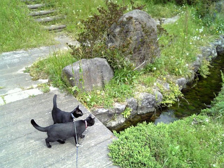 水の口湧水