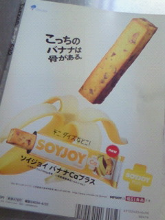 SOYJOY