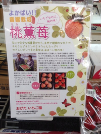 よかばい。