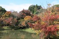 用作公園