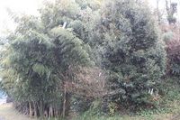 まだ余裕