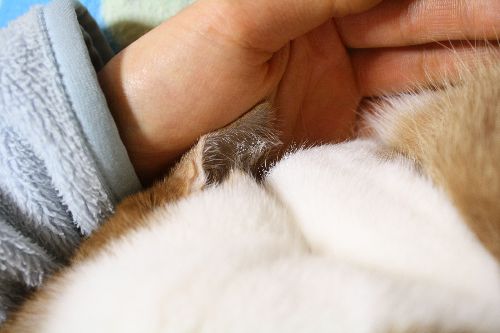 まだ余裕