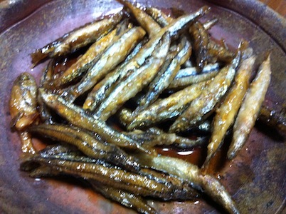 謎の魚。