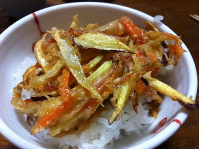 謎の魚。