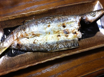 魚祭り第二弾!!