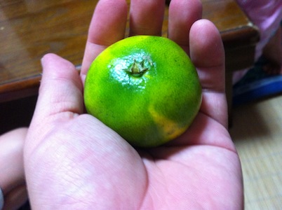 早生みかんという珍しい食べもの。