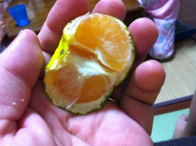 早生みかんという珍しい食べもの。