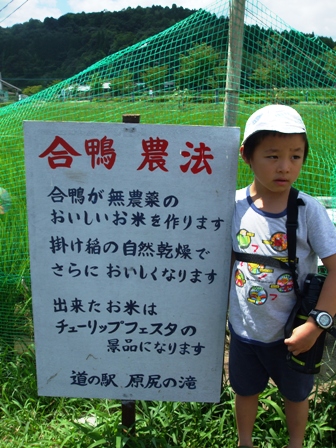 竹田の河川プール~原尻の滝~道の駅めぐり。その2