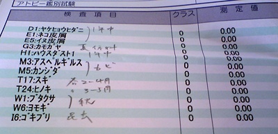 アレルギー検査結果