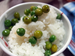豆の大軍