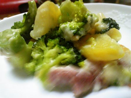 ブロッコリーばかり食べたかったので(^.^)