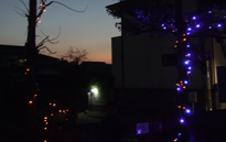 夕焼けイルミネーション